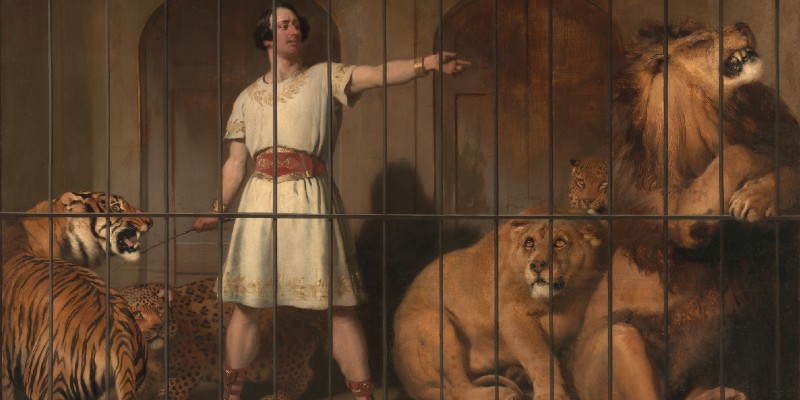 The Lion’s Share